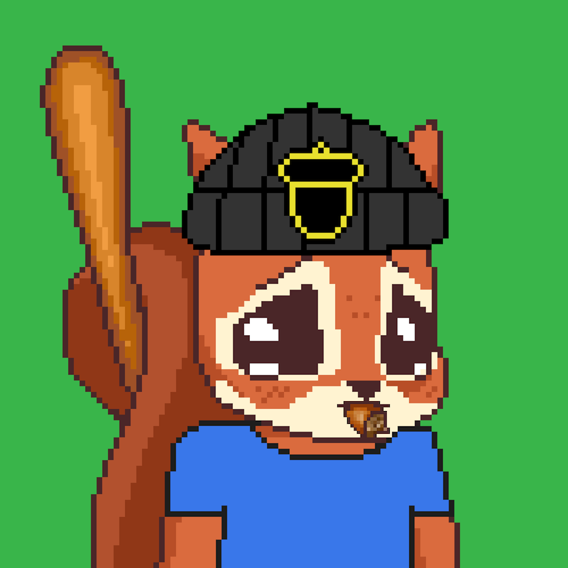 Pixel Squirrels #6970